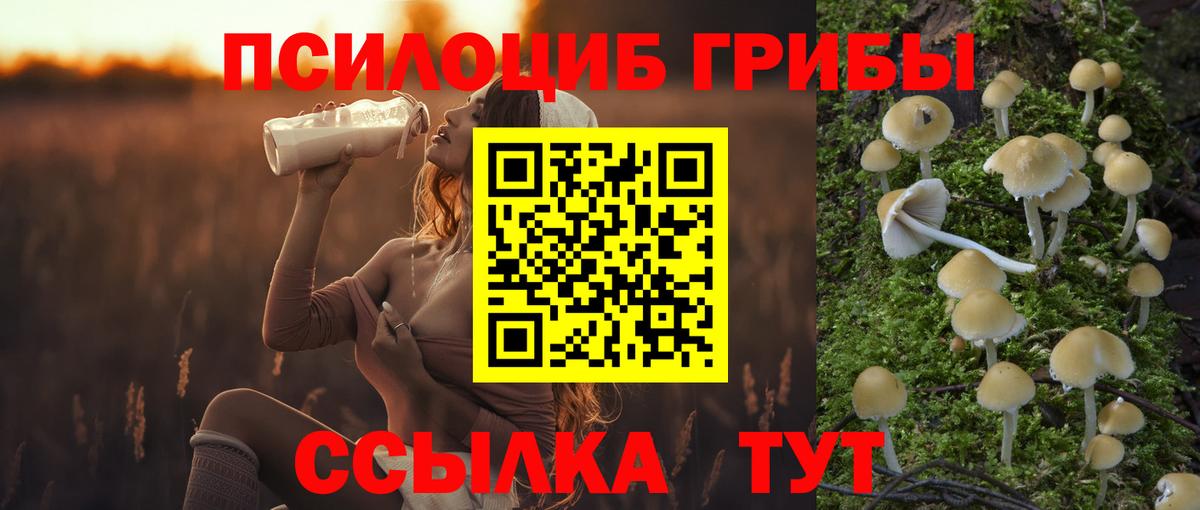 Псилоцибиновые грибы мицелий  Вход с VPN  Кандалакша  Галлюциногенные грибы MAGIC MUSHROOMS 